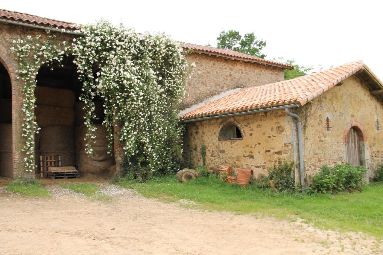 Le Pin  Domaine Des Roches Blanchesヴィラ エクステリア 写真