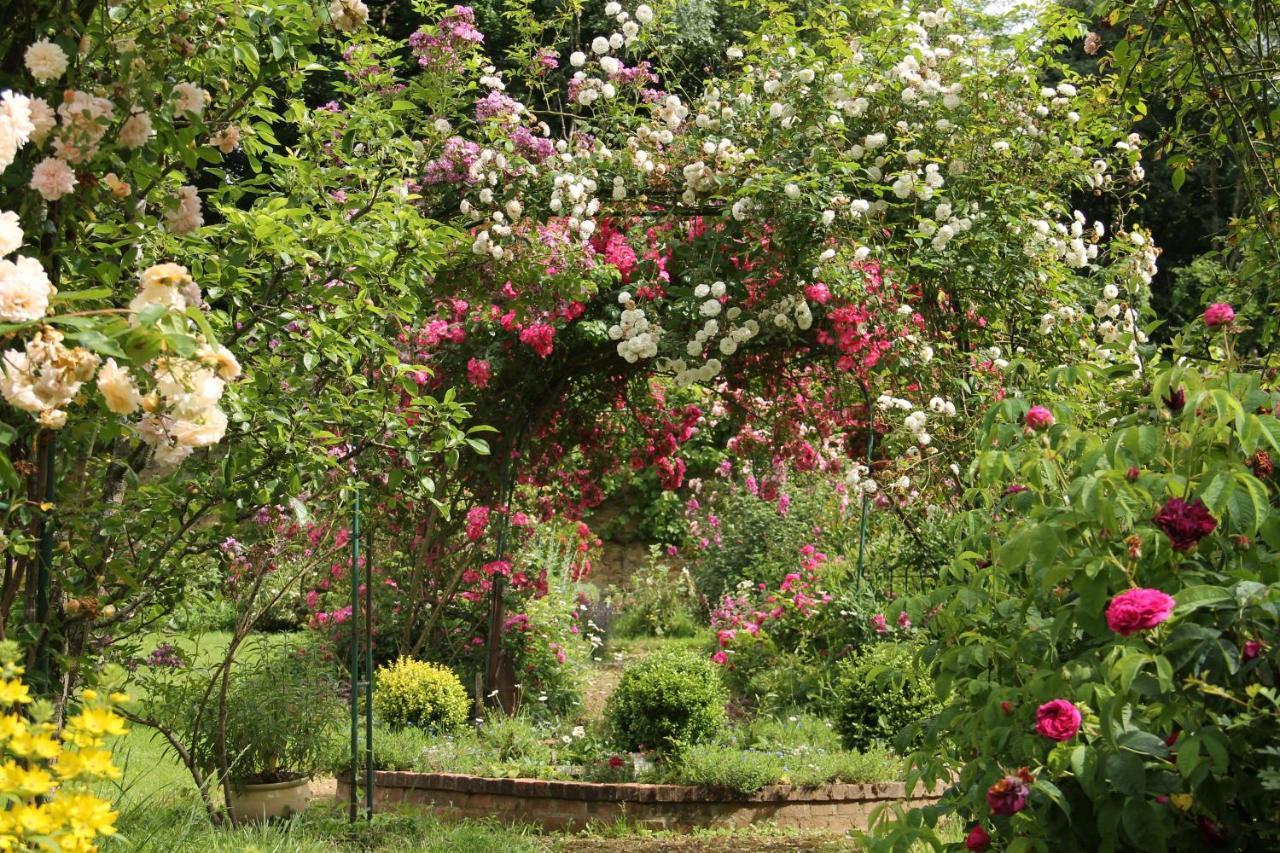 Le Pin  Domaine Des Roches Blanchesヴィラ エクステリア 写真