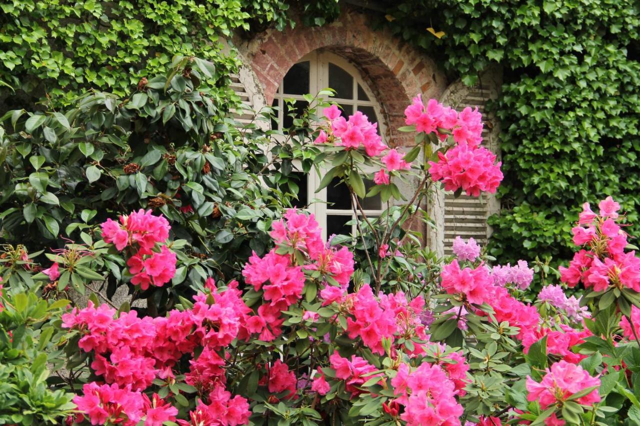 Le Pin  Domaine Des Roches Blanchesヴィラ エクステリア 写真