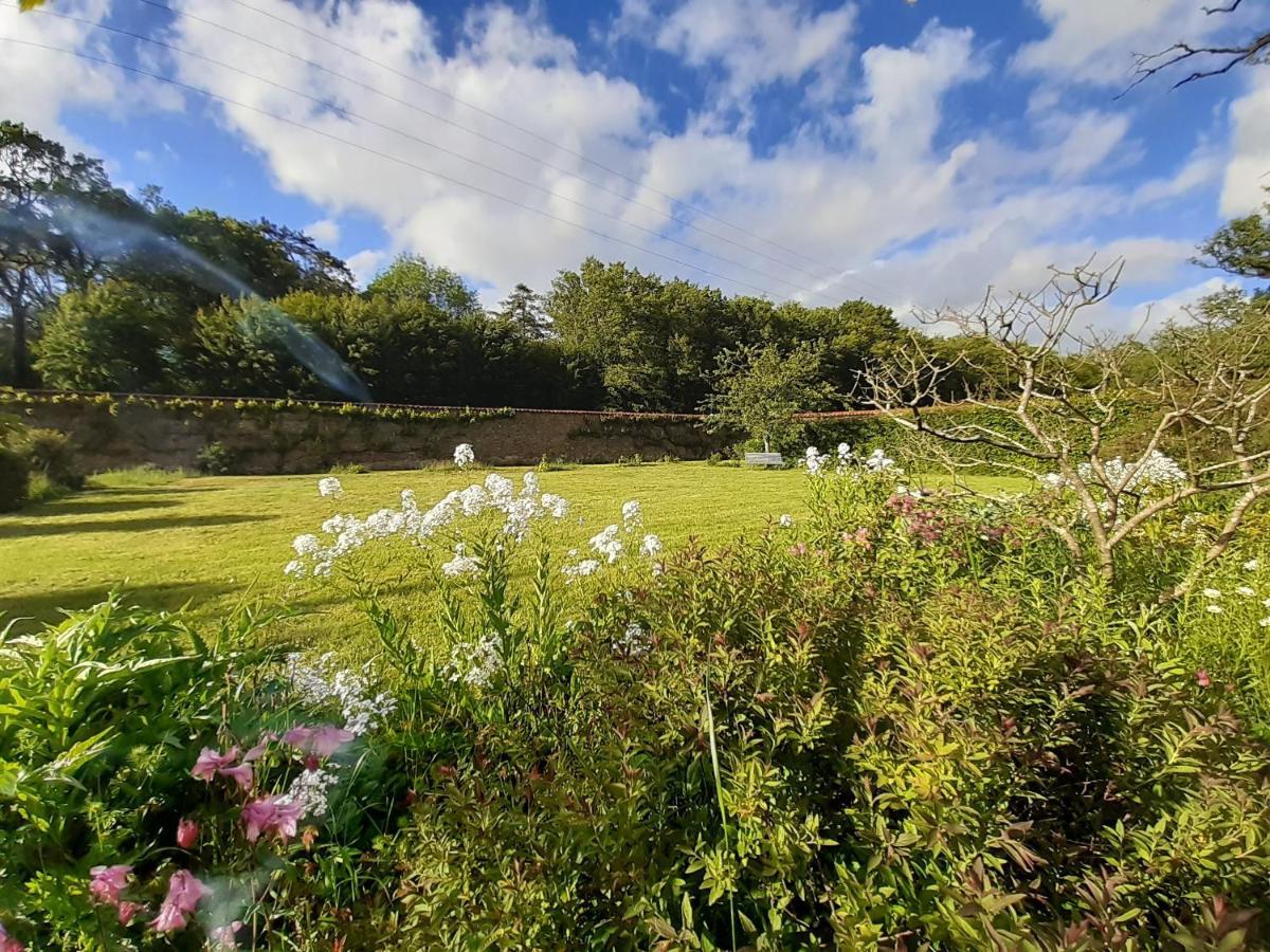 Le Pin  Domaine Des Roches Blanchesヴィラ エクステリア 写真