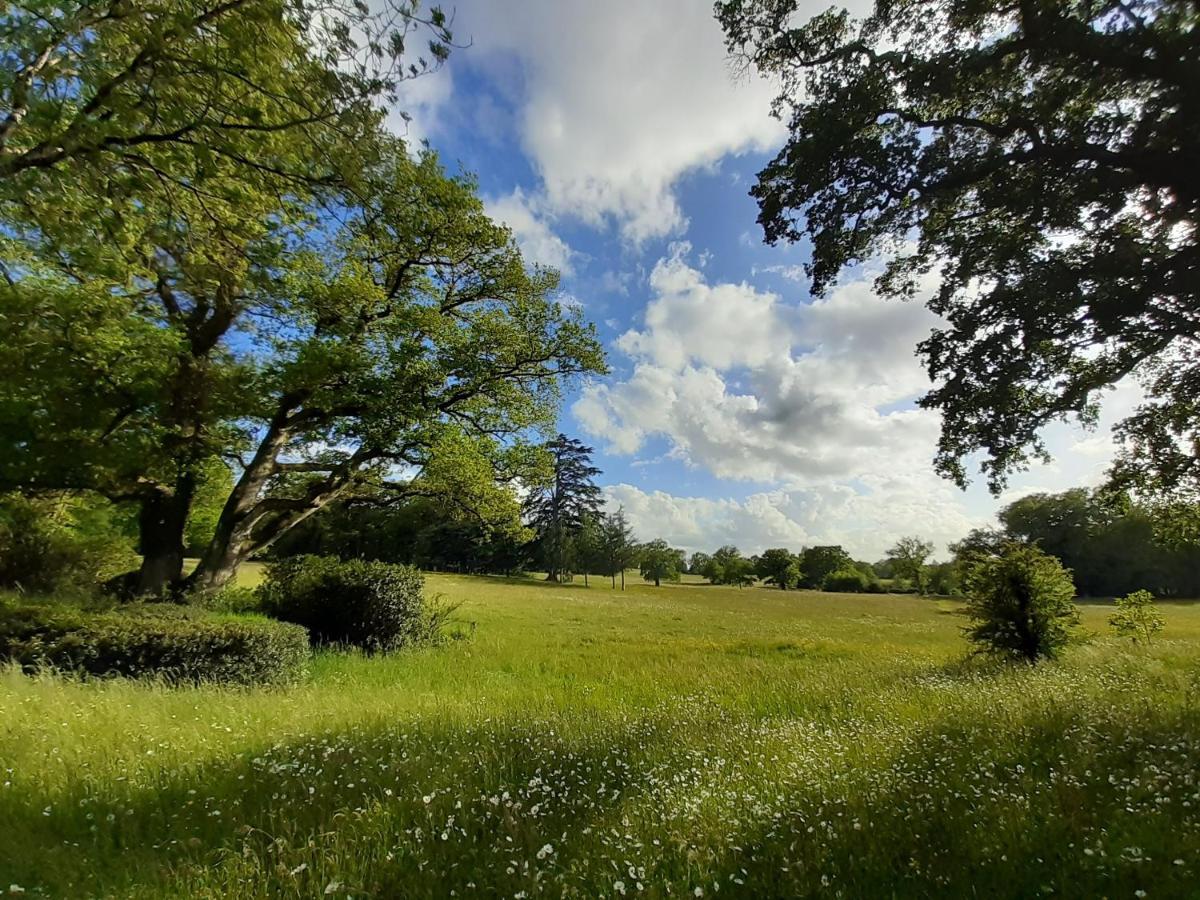 Le Pin  Domaine Des Roches Blanchesヴィラ エクステリア 写真