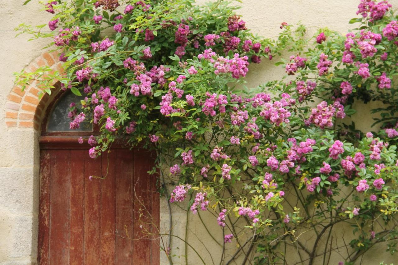 Le Pin  Domaine Des Roches Blanchesヴィラ エクステリア 写真