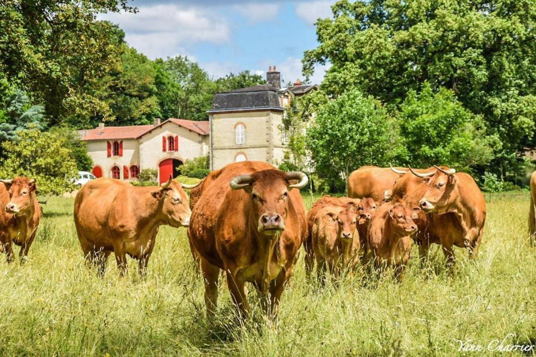 Le Pin  Domaine Des Roches Blanchesヴィラ エクステリア 写真