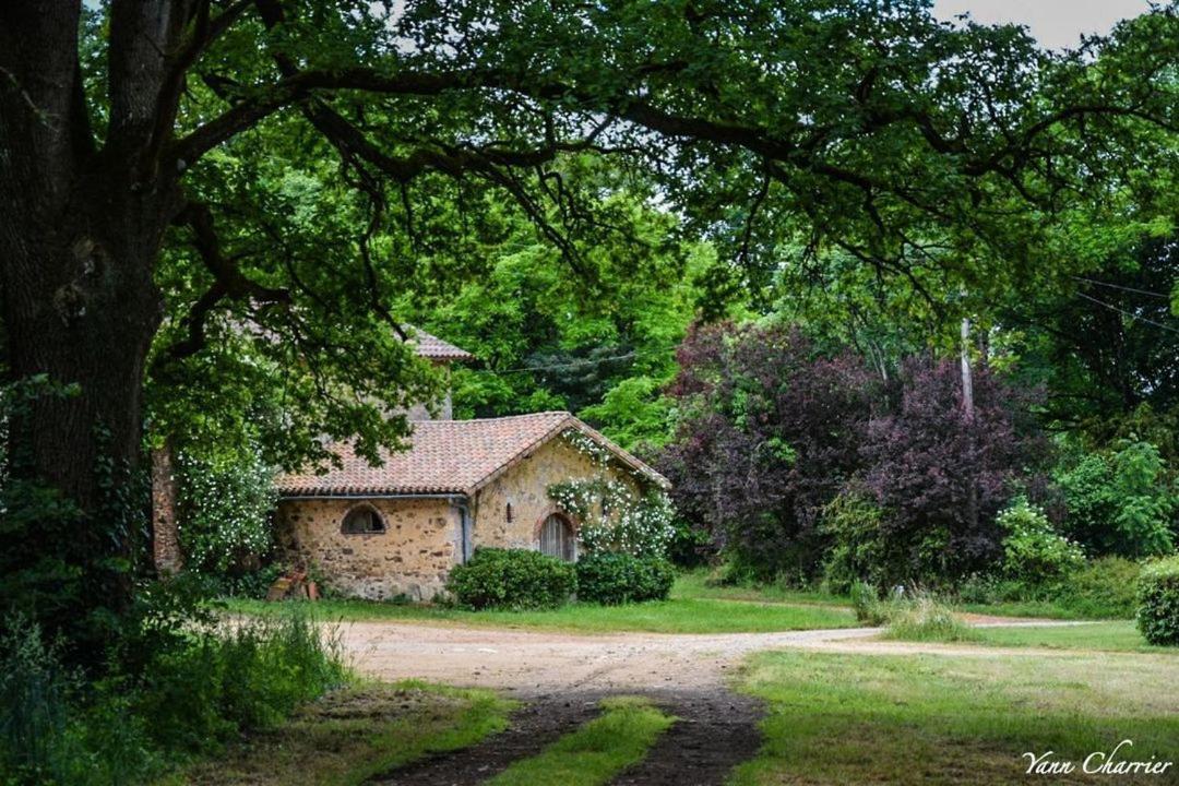 Le Pin  Domaine Des Roches Blanchesヴィラ エクステリア 写真
