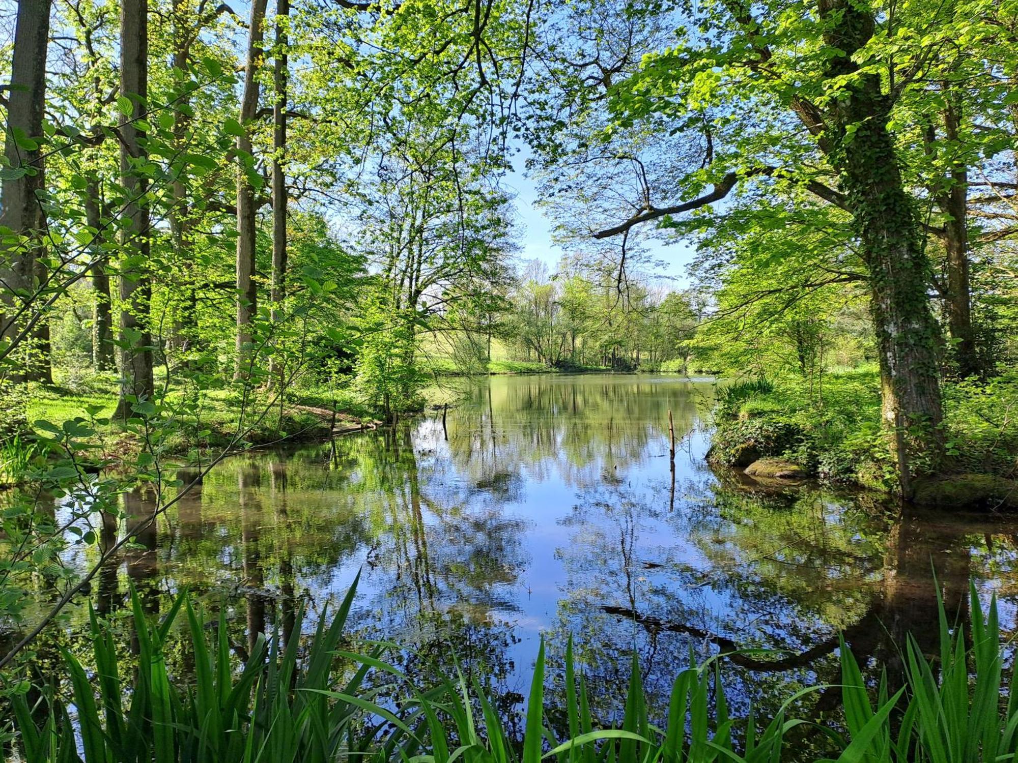 Le Pin  Domaine Des Roches Blanchesヴィラ エクステリア 写真