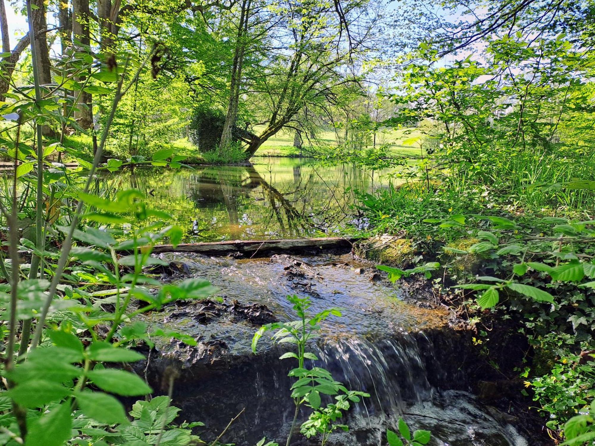 Le Pin  Domaine Des Roches Blanchesヴィラ エクステリア 写真