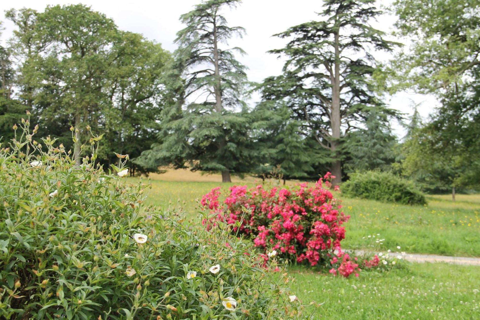 Le Pin  Domaine Des Roches Blanchesヴィラ エクステリア 写真