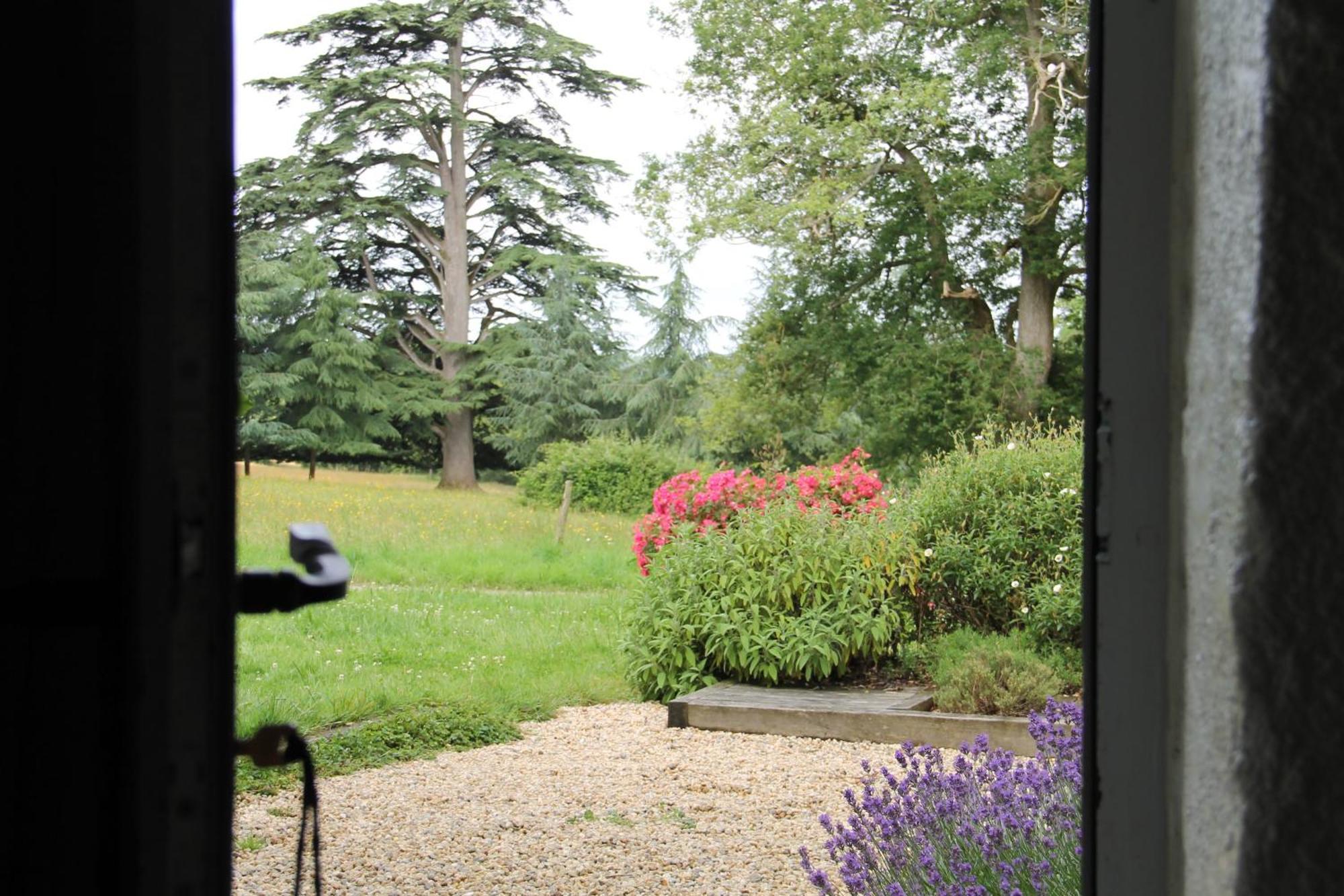 Le Pin  Domaine Des Roches Blanchesヴィラ エクステリア 写真