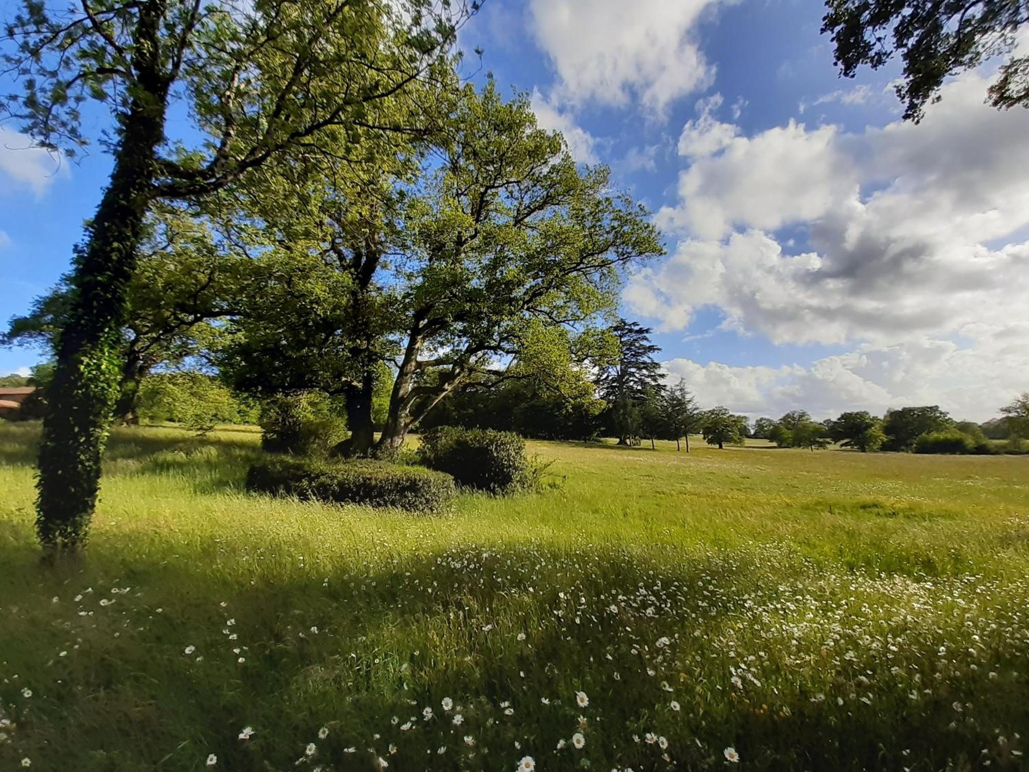 Le Pin  Domaine Des Roches Blanchesヴィラ エクステリア 写真
