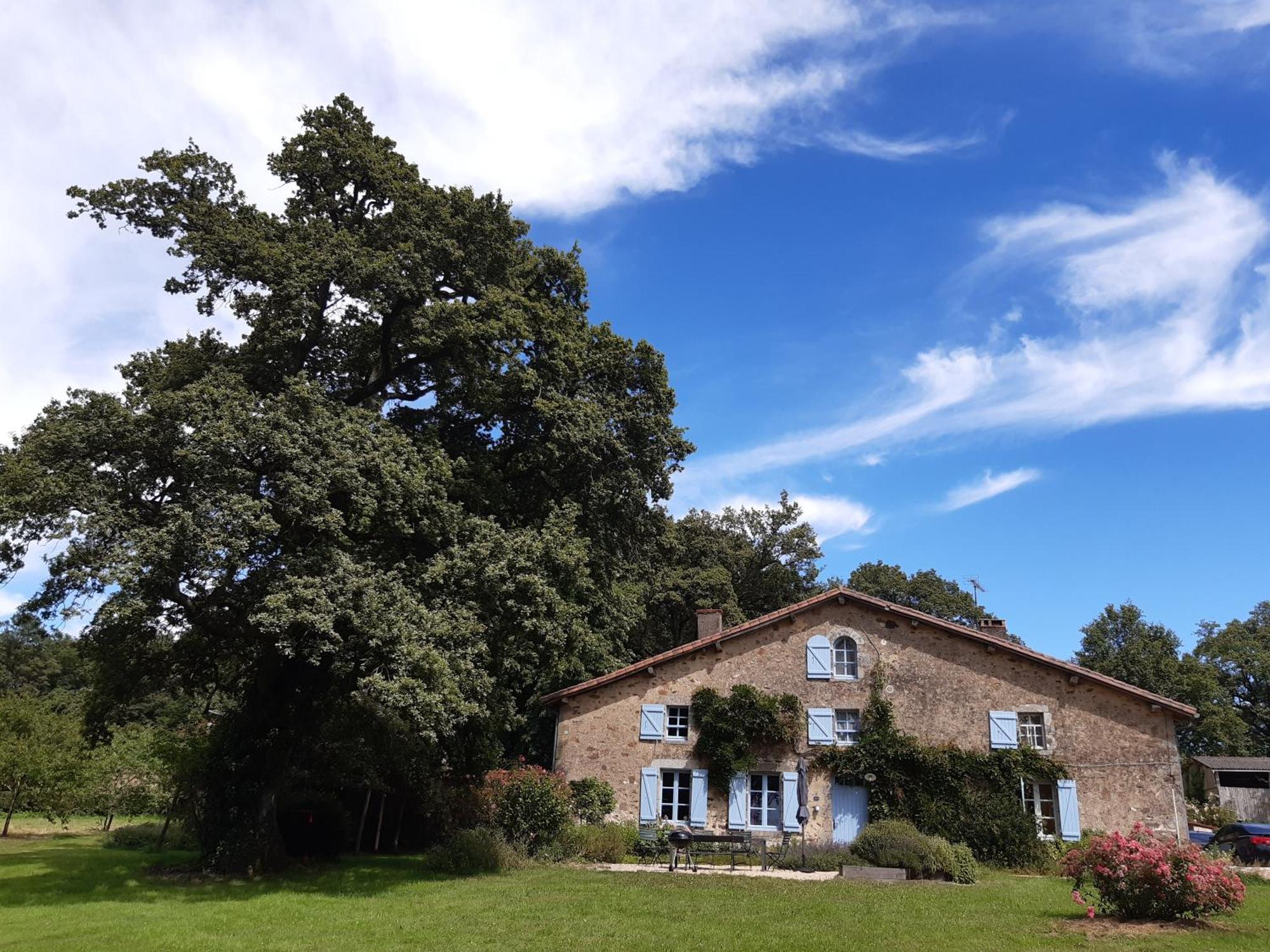 Le Pin  Domaine Des Roches Blanchesヴィラ エクステリア 写真