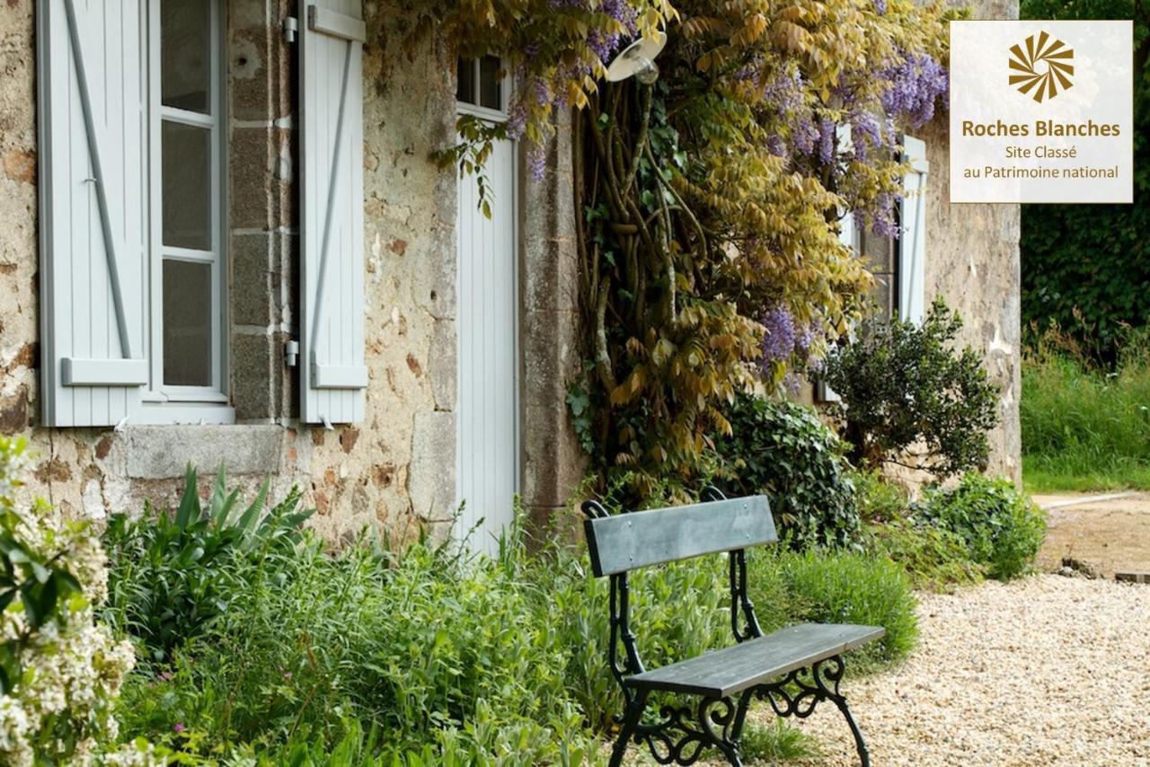 Le Pin  Domaine Des Roches Blanchesヴィラ エクステリア 写真
